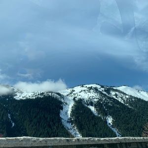 Meet your Posher, Romina